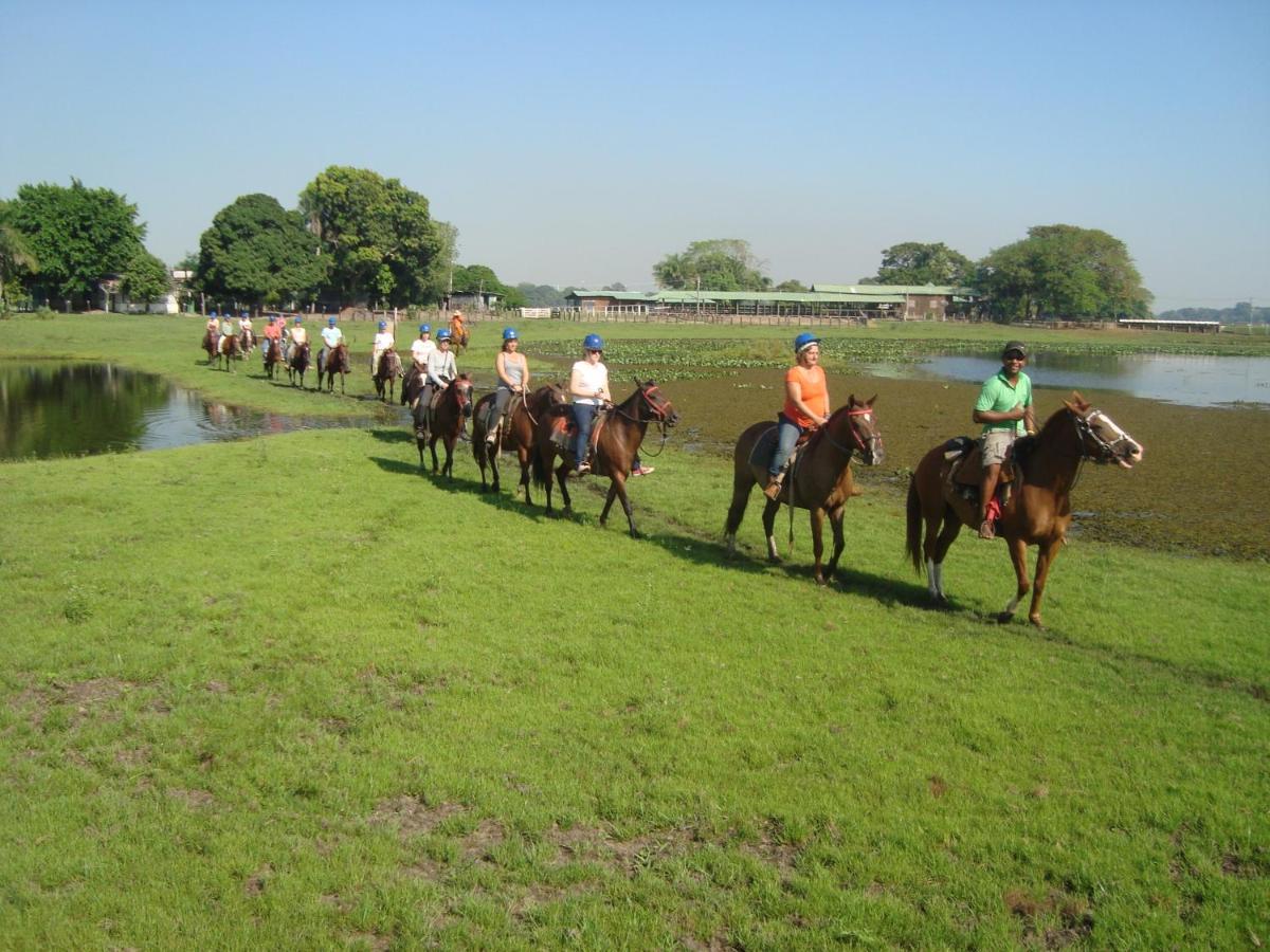 Pantanal Jungle Lodge Passo do Lontra Экстерьер фото