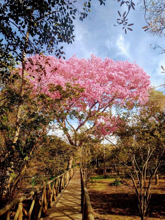 Pantanal Jungle Lodge Passo do Lontra Экстерьер фото